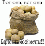 Фото пользователя КартО_оFun